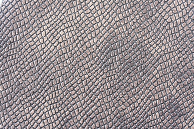 Orangene Schlange auf Ast